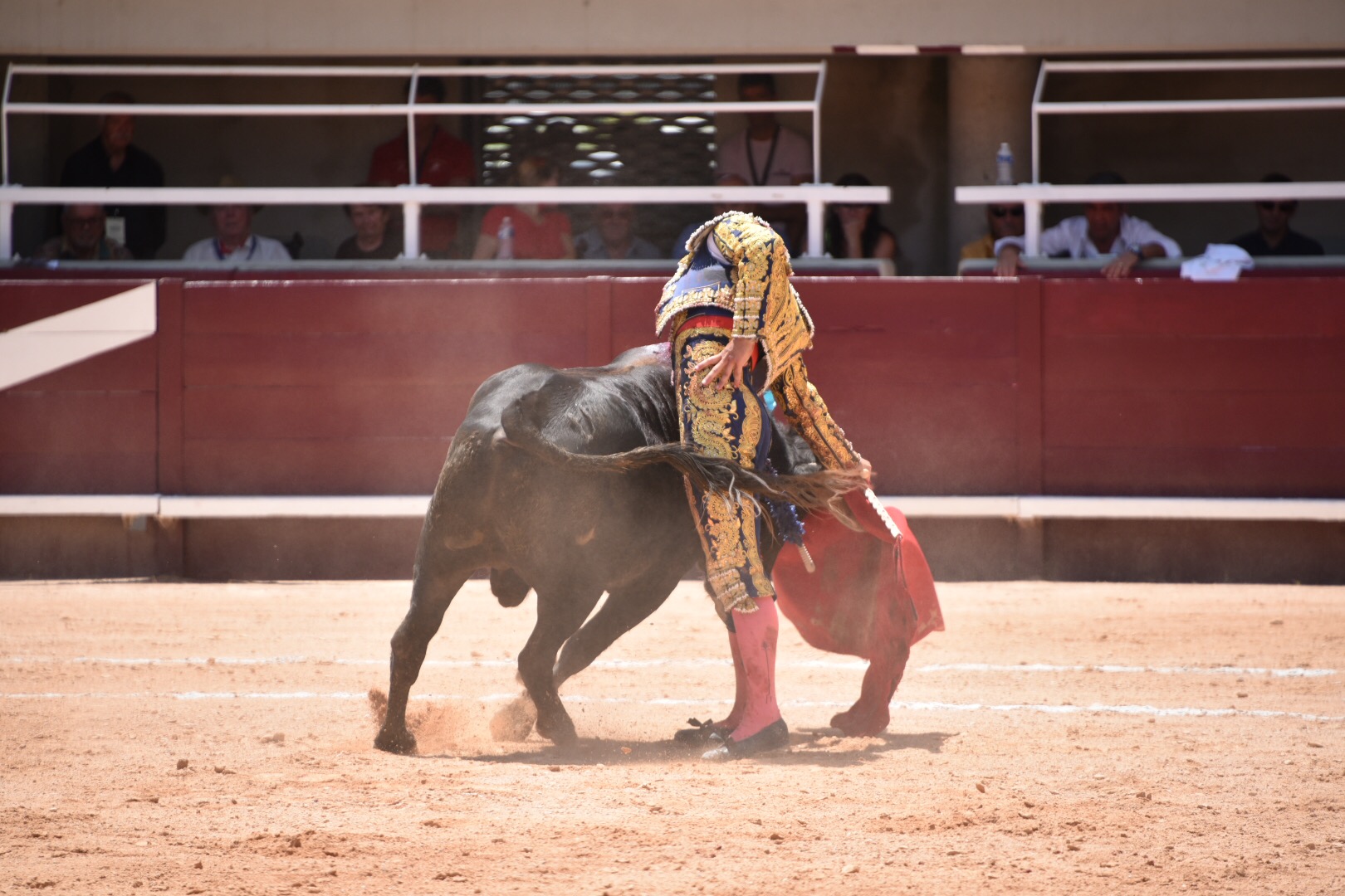 Istres (Francia) - Novillada con picadores matinal - Sábado 16 de junio de 2018
