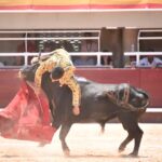 Istres (Francia) - Novillada con picadores matinal - Sábado 16 de junio de 2018