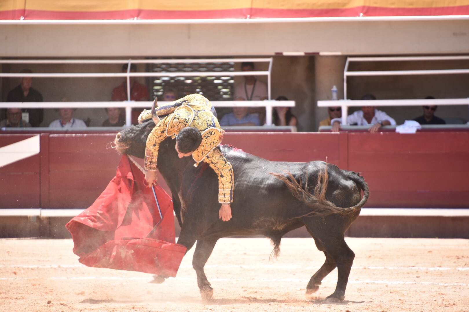 Istres (Francia) - Novillada con picadores matinal - Sábado 16 de junio de 2018