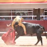 Istres (Francia) - Novillada con picadores matinal - Sábado 16 de junio de 2018