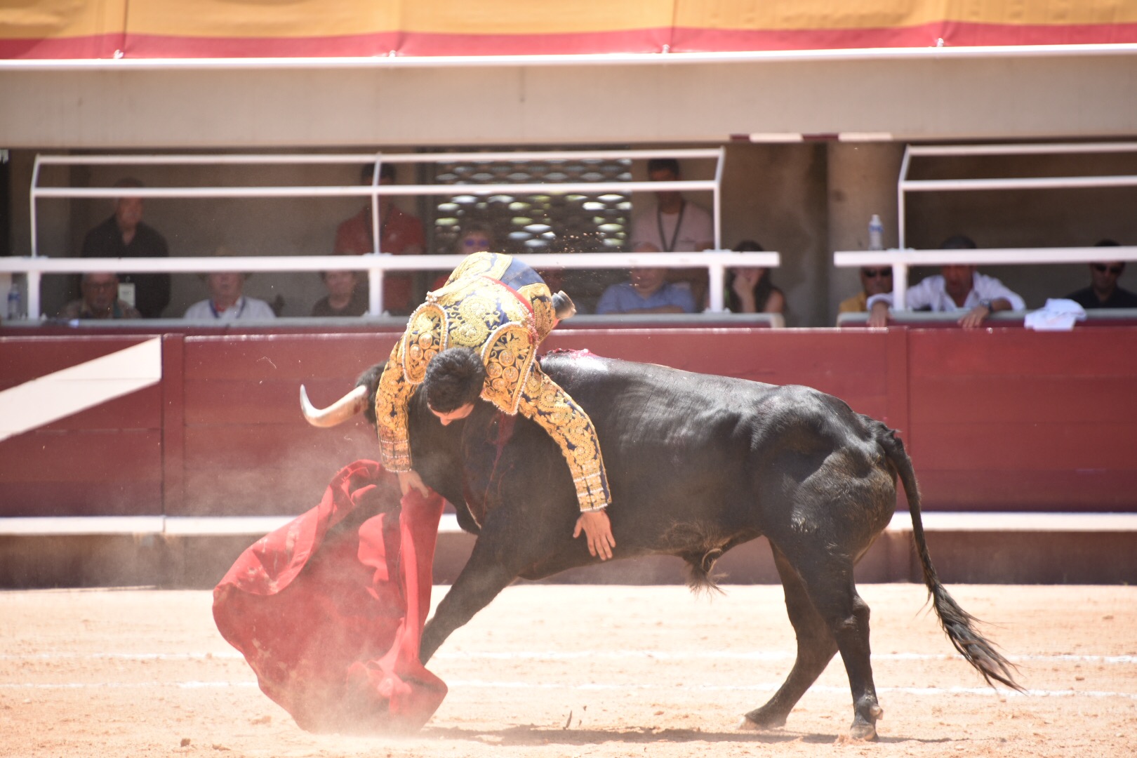 Istres (Francia) - Novillada con picadores matinal - Sábado 16 de junio de 2018
