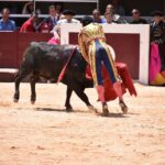 Istres (Francia) - Novillada con picadores matinal - Sábado 16 de junio de 2018