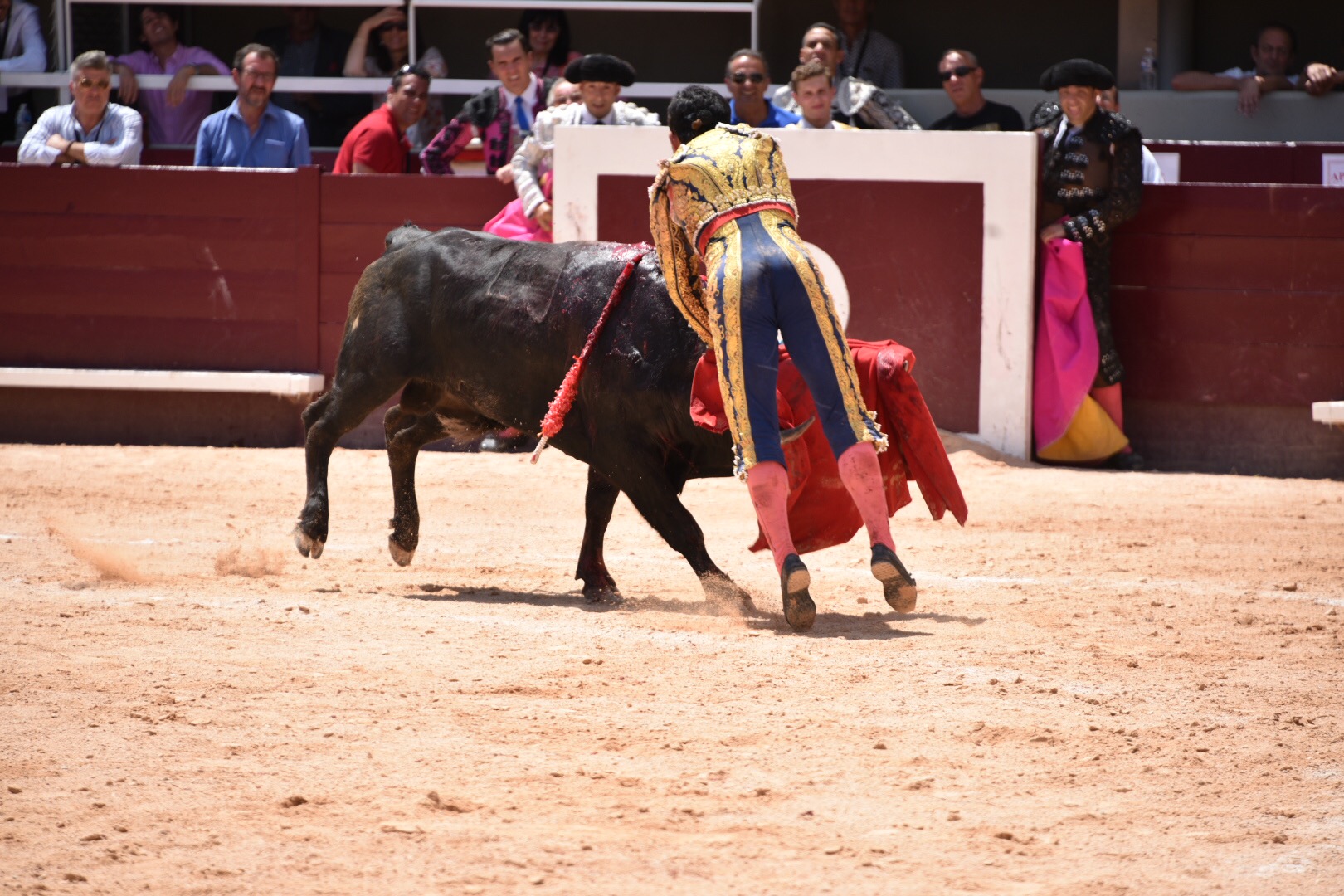 Istres (Francia) - Novillada con picadores matinal - Sábado 16 de junio de 2018