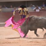 Istres (Francia) - Novillada con picadores matinal - Sábado 16 de junio de 2018