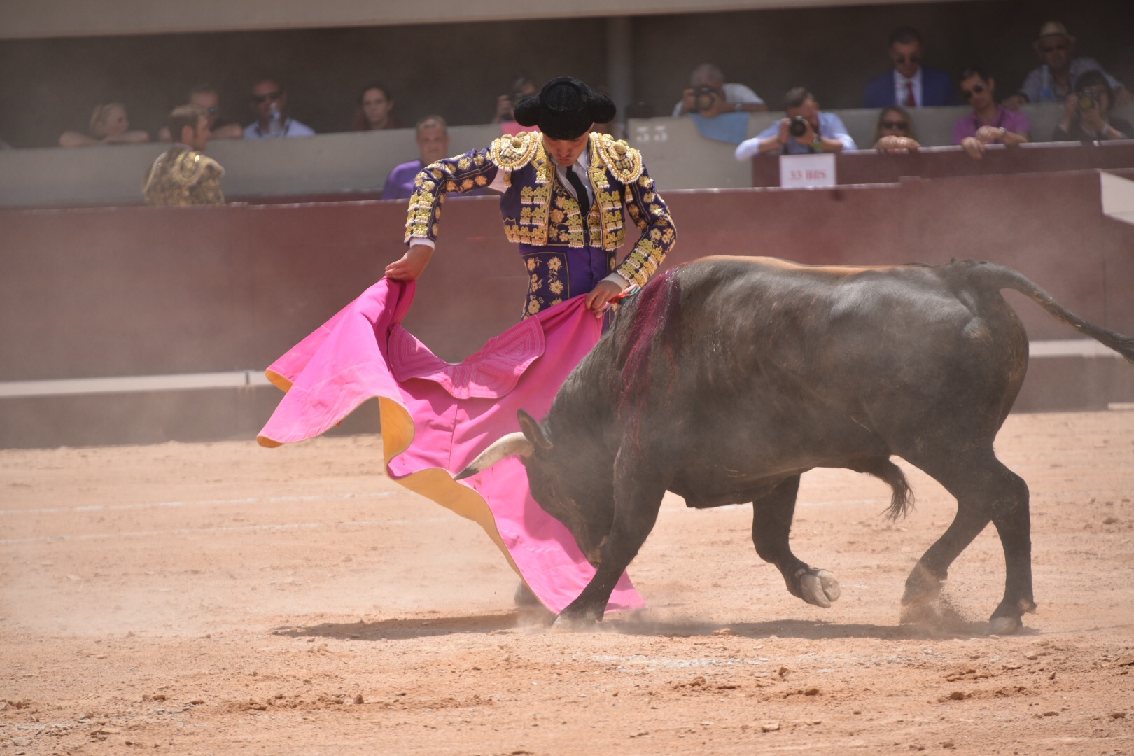 Istres (Francia) - Novillada con picadores matinal - Sábado 16 de junio de 2018