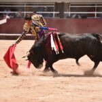 Istres (Francia) - Novillada con picadores matinal - Sábado 16 de junio de 2018