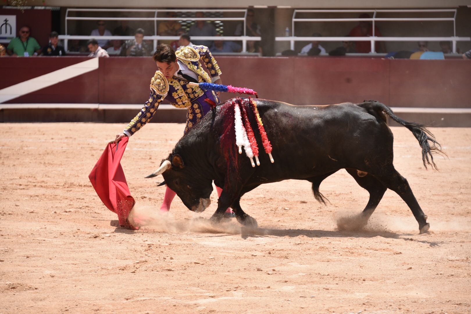 Istres (Francia) - Novillada con picadores matinal - Sábado 16 de junio de 2018