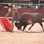 Istres (Francia) - Novillada con picadores matinal - Sábado 16 de junio de 2018