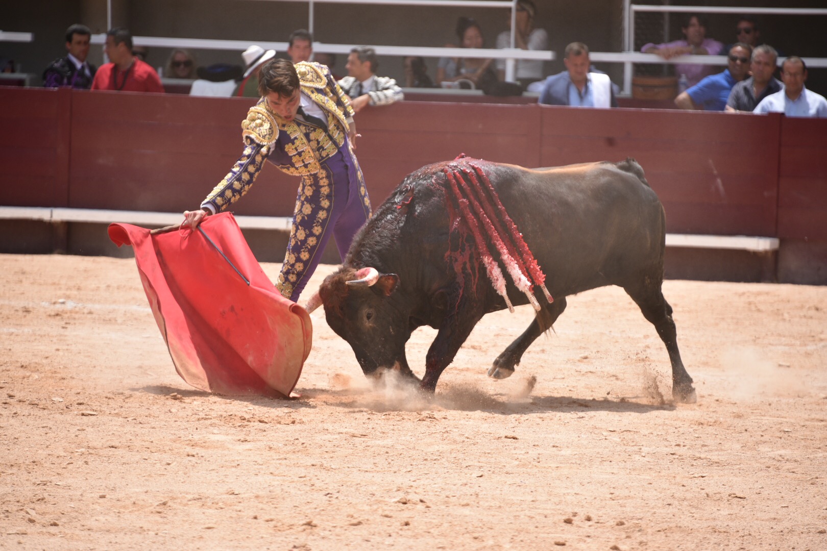 Istres (Francia) - Novillada con picadores matinal - Sábado 16 de junio de 2018