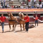 Istres (Francia) - Novillada con picadores matinal - Sábado 16 de junio de 2018