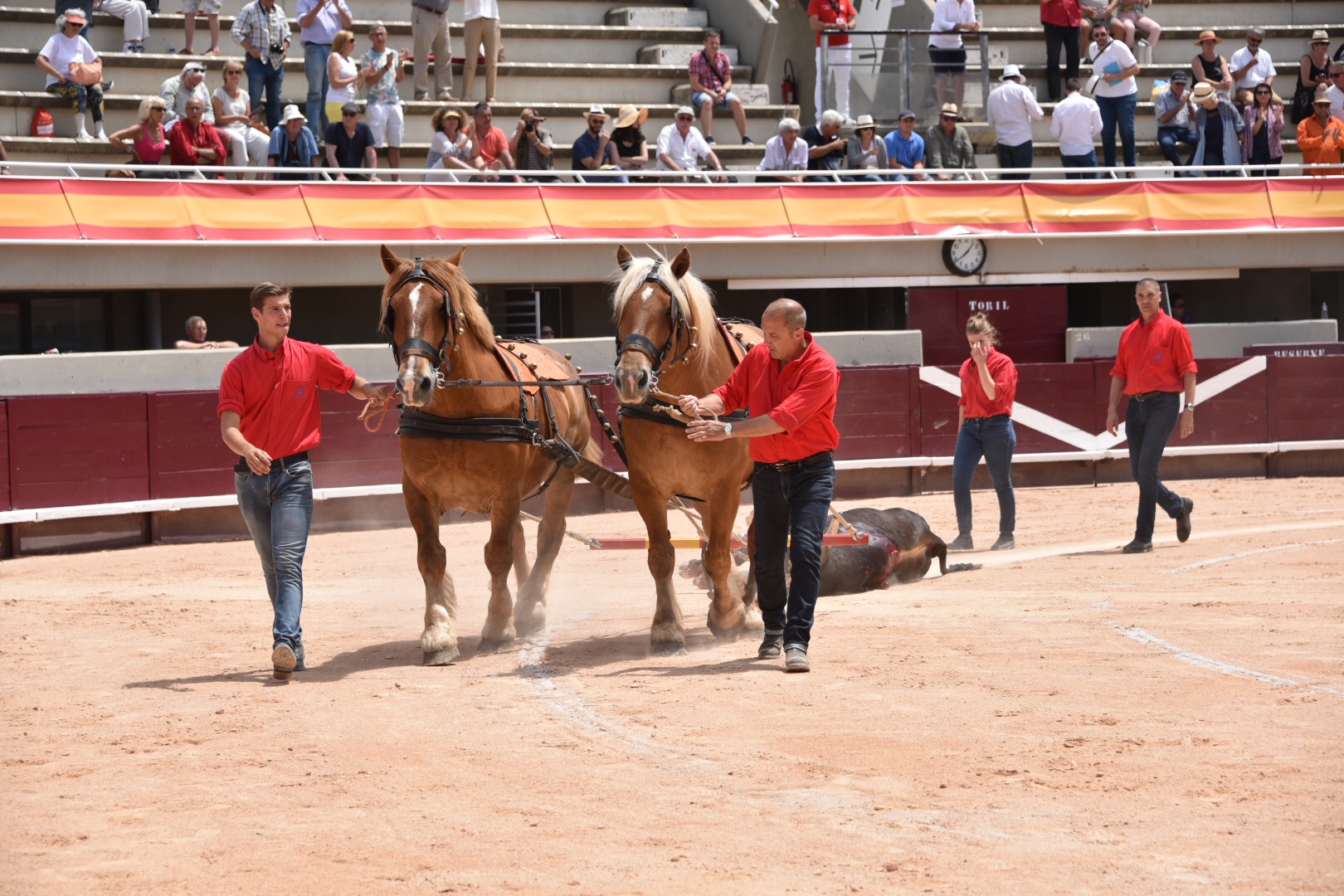 Istres (Francia) - Novillada con picadores matinal - Sábado 16 de junio de 2018
