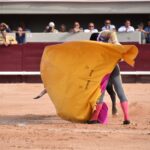 Istres (Francia) - Corrida de toros - Tarde - Sábado 16 de junio de 2018