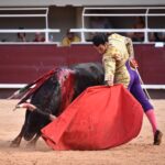 Istres (Francia) - Corrida de toros - Tarde - Sábado 16 de junio de 2018