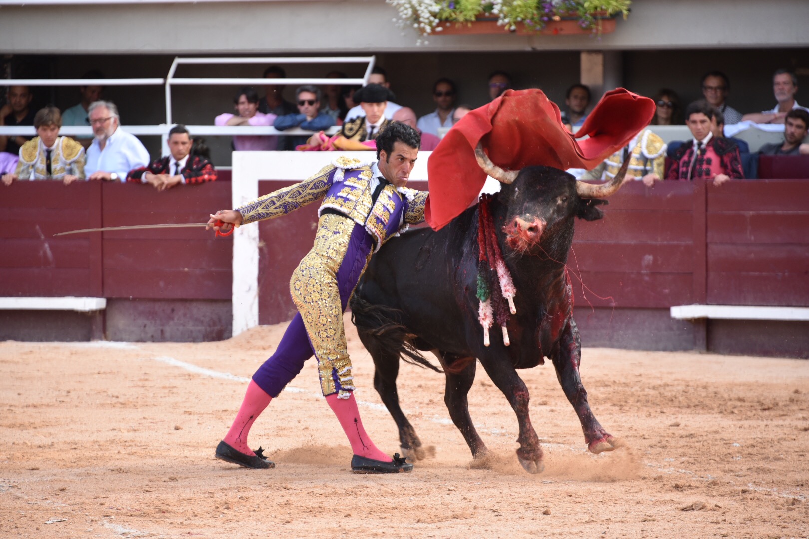 Istres (Francia) - Corrida de toros - Tarde - Sábado 16 de junio de 2018
