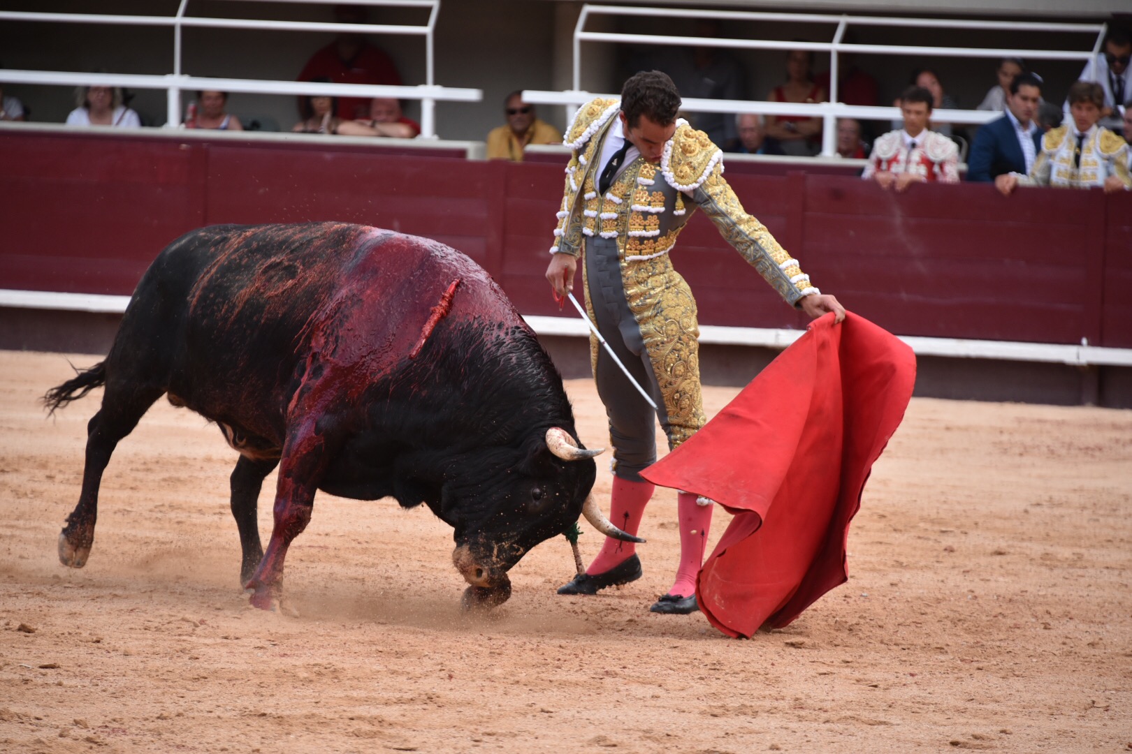 Istres (Francia) - Corrida de toros - Tarde - Sábado 16 de junio de 2018