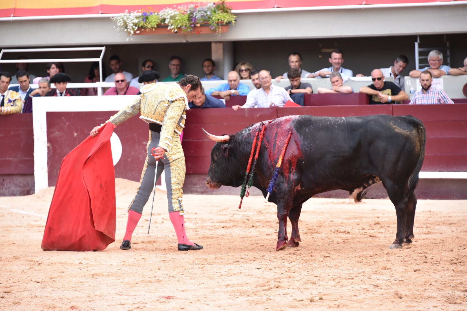 Istres (Francia) - Corrida de toros - Tarde - Sábado 16 de junio de 2018