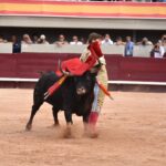 Istres (Francia) - Corrida de toros - Tarde - Sábado 16 de junio de 2018