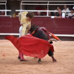 Istres (Francia) - Corrida de toros - Tarde - Sábado 16 de junio de 2018