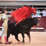 Istres (Francia) - Corrida de toros - Tarde - Sábado 16 de junio de 2018