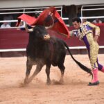 Istres (Francia) - Corrida de toros - Tarde - Sábado 16 de junio de 2018
