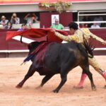 Istres (Francia) - Corrida de toros - Tarde - Sábado 16 de junio de 2018
