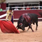 Istres (Francia) - Corrida de toros - Tarde - Sábado 16 de junio de 2018