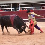 Istres (Francia) - Corrida de toros - Tarde - Sábado 16 de junio de 2018