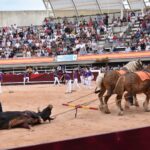 Istres (Francia) - Corrida de toros - Tarde - Sábado 16 de junio de 2018