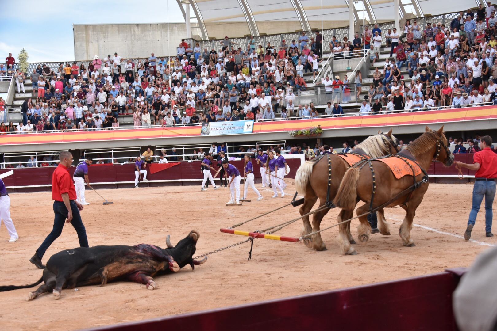 Istres (Francia) - Corrida de toros - Tarde - Sábado 16 de junio de 2018