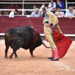 Istres (Francia) - Corrida de toros - Tarde - Sábado 16 de junio de 2018