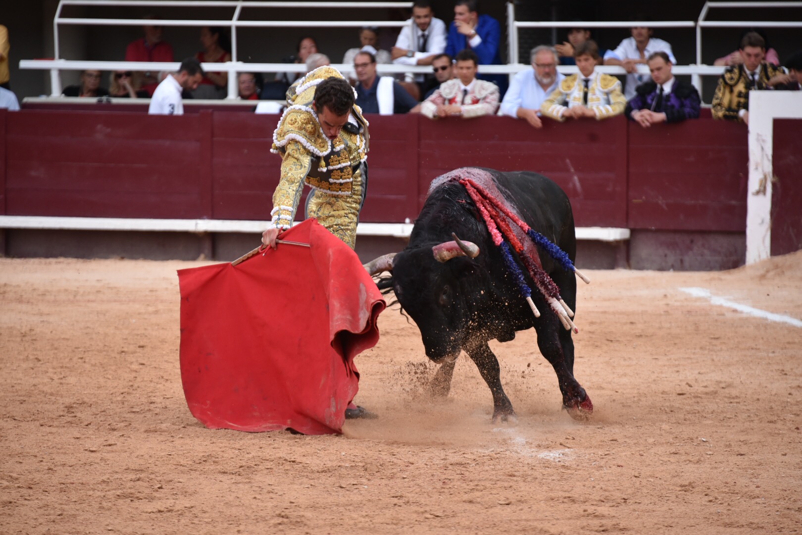 Istres (Francia) - Corrida de toros - Tarde - Sábado 16 de junio de 2018