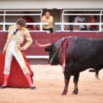Istres (Francia) - Corrida de toros - Tarde - Sábado 16 de junio de 2018