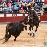 Madrid, 2 de junio de 2018