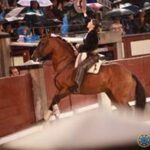 Madrid, 2 de junio de 2018