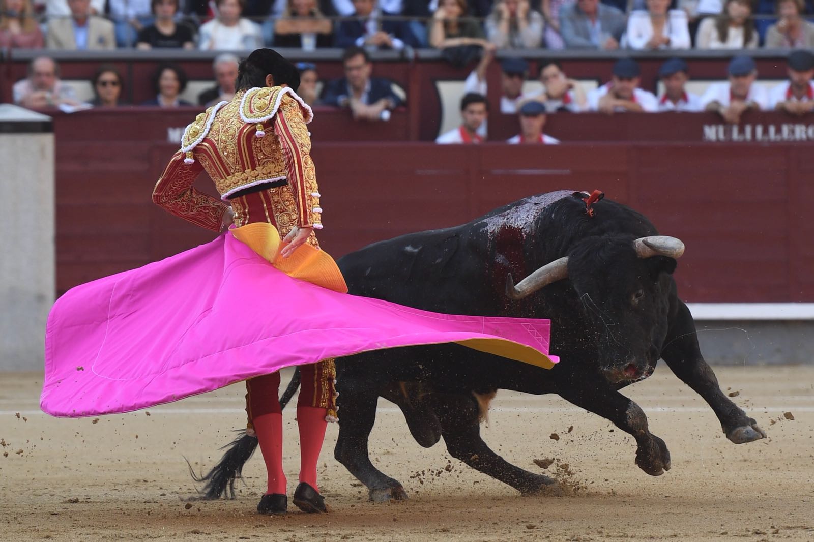 Madrid - Feria de San Isidro - Corrida de toros - Viernes 1 de junio de 2018