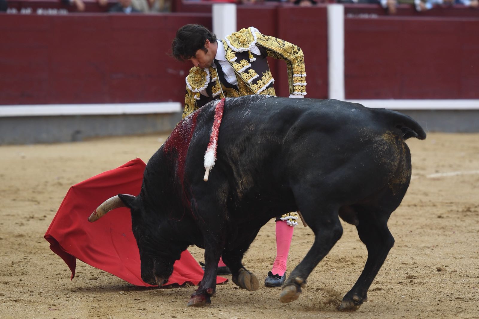 Madrid - Feria de San Isidro - Corrida de toros - Viernes 1 de junio de 2018
