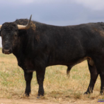 MILHIJAS  Nº 106 • G 2014