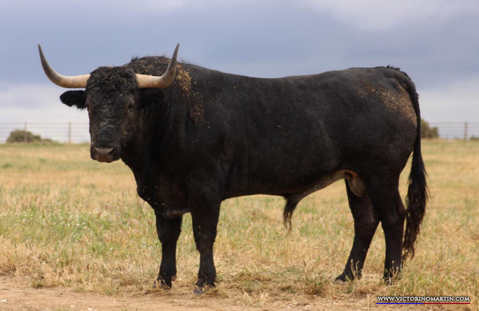 MILHIJAS  Nº 106 • G 2014