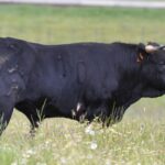 Villaseca de la Sagra (Toledo)