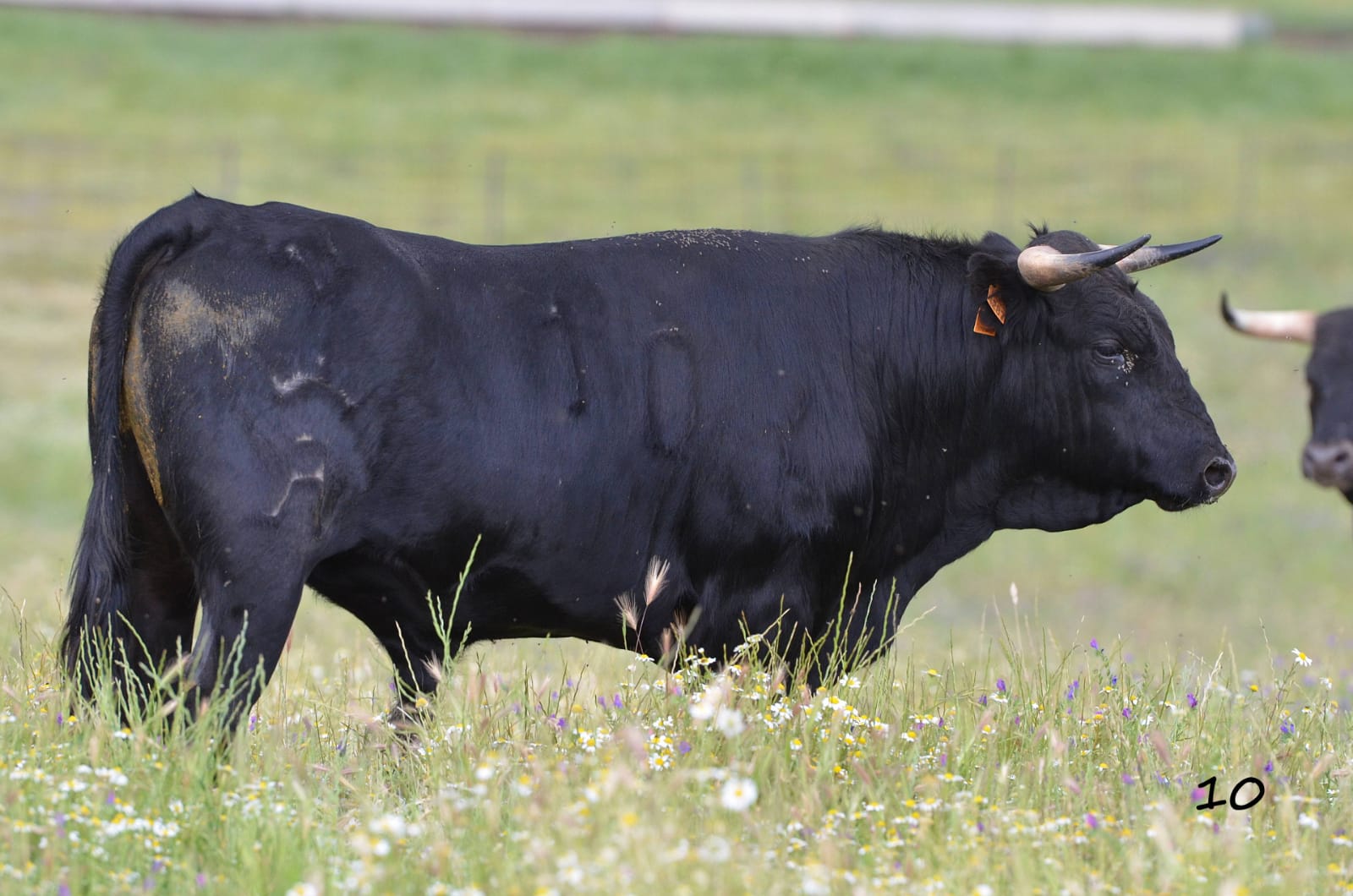 Villaseca de la Sagra (Toledo)