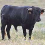 Villaseca de la Sagra (Toledo)