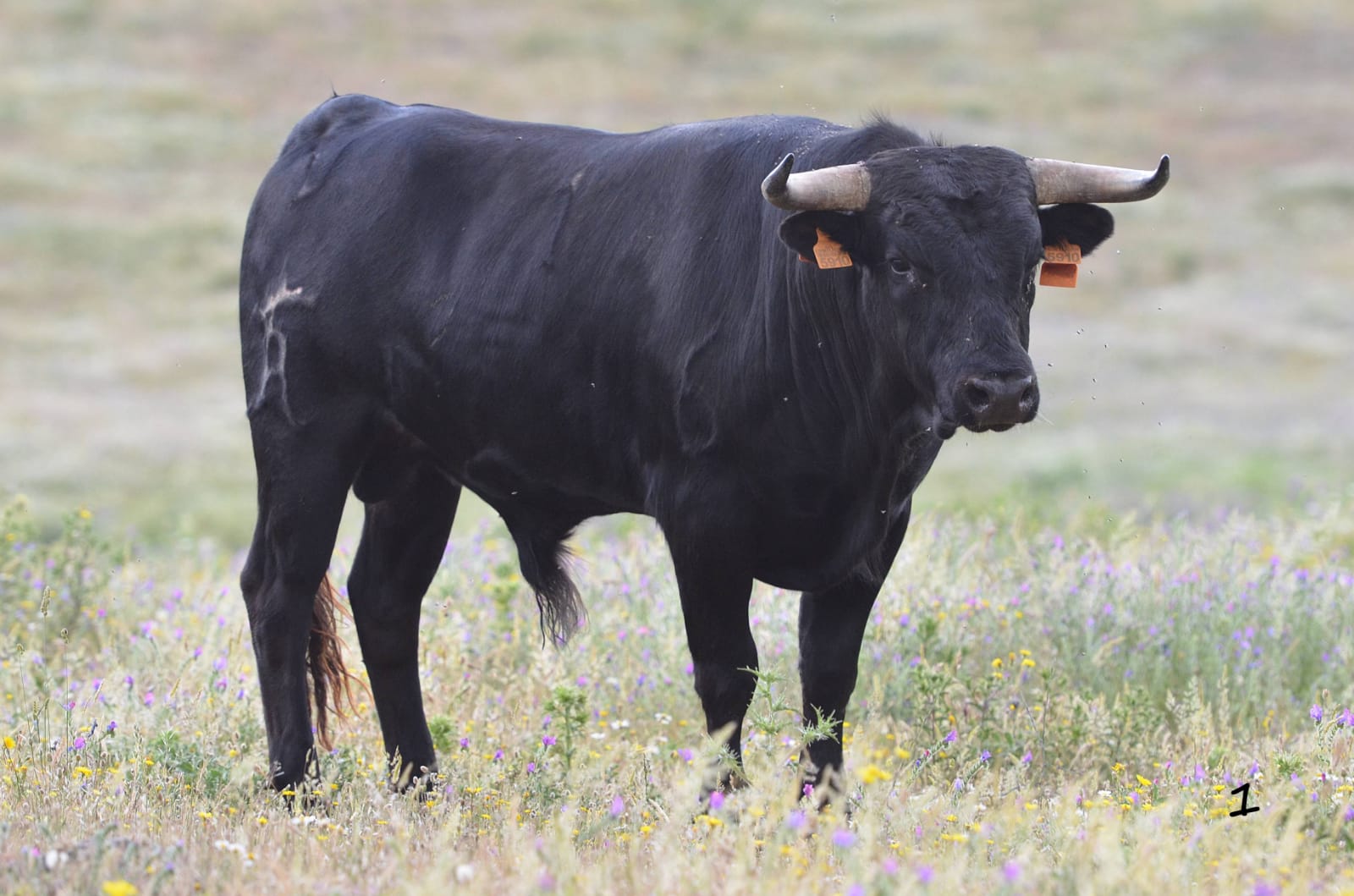 Villaseca de la Sagra (Toledo)