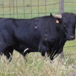 Villaseca de la Sagra (Toledo)