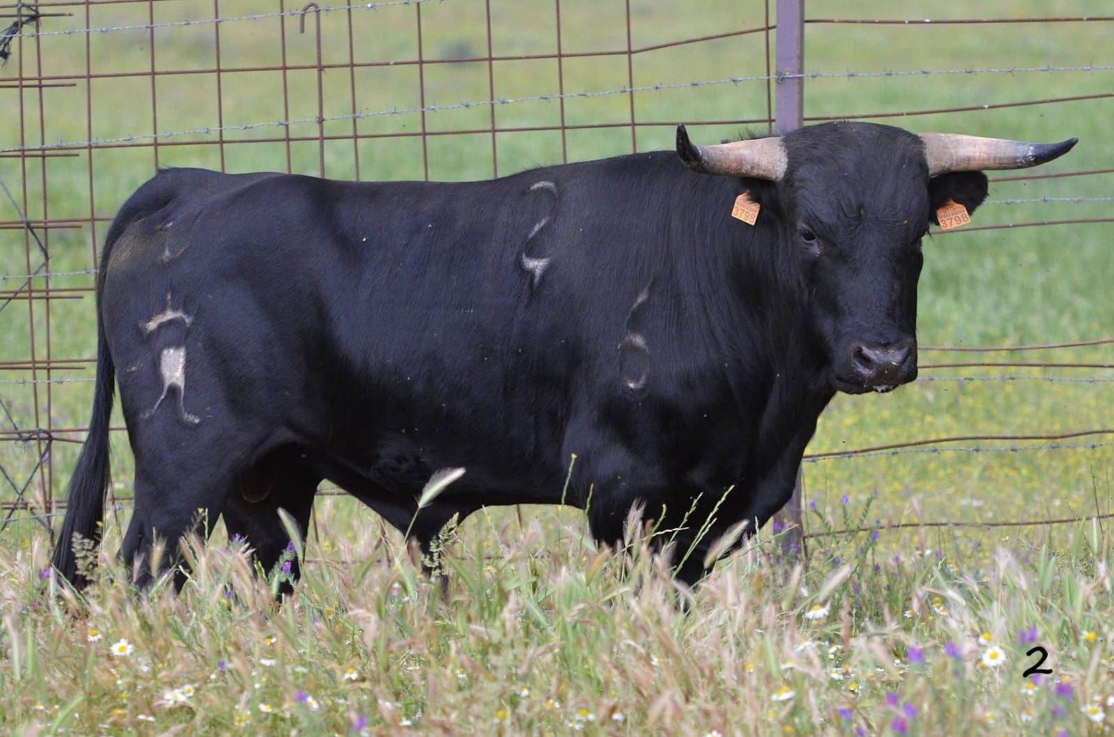 Villaseca de la Sagra (Toledo)