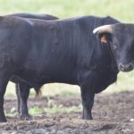 Villaseca de la Sagra (Toledo)