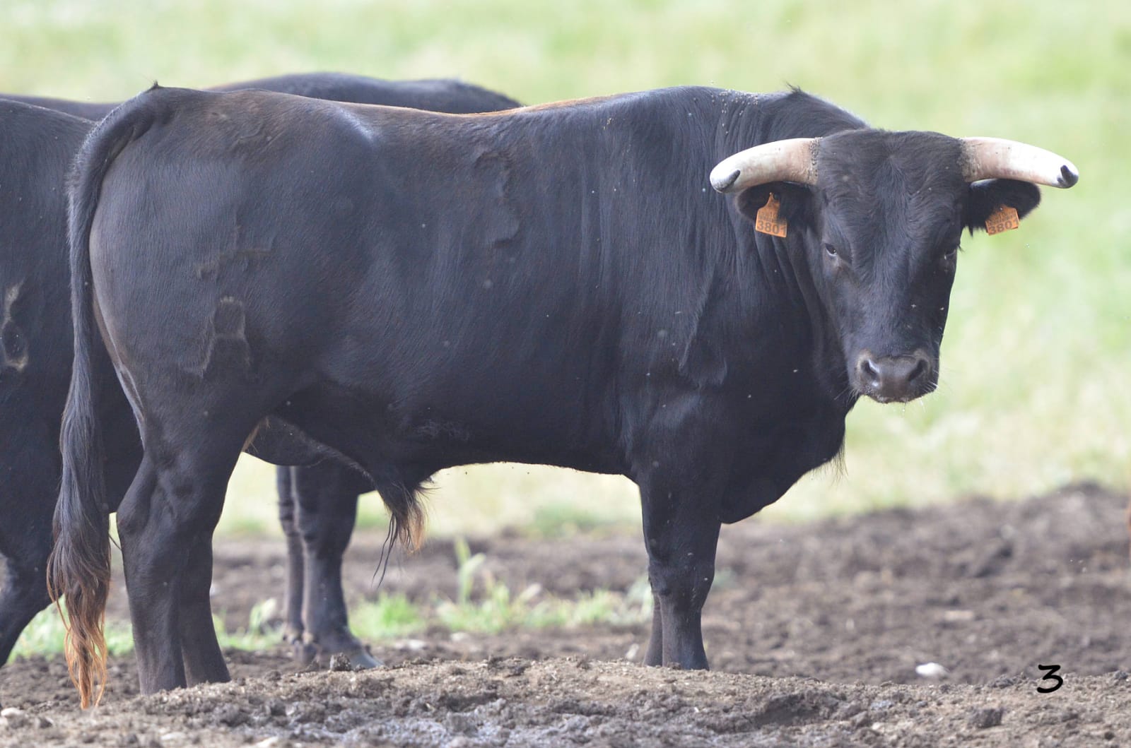 Villaseca de la Sagra (Toledo)