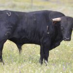 Villaseca de la Sagra (Toledo)