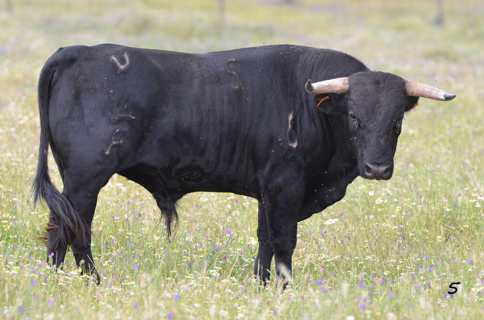 Villaseca de la Sagra (Toledo)