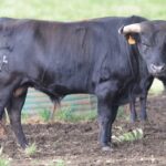 Villaseca de la Sagra (Toledo)