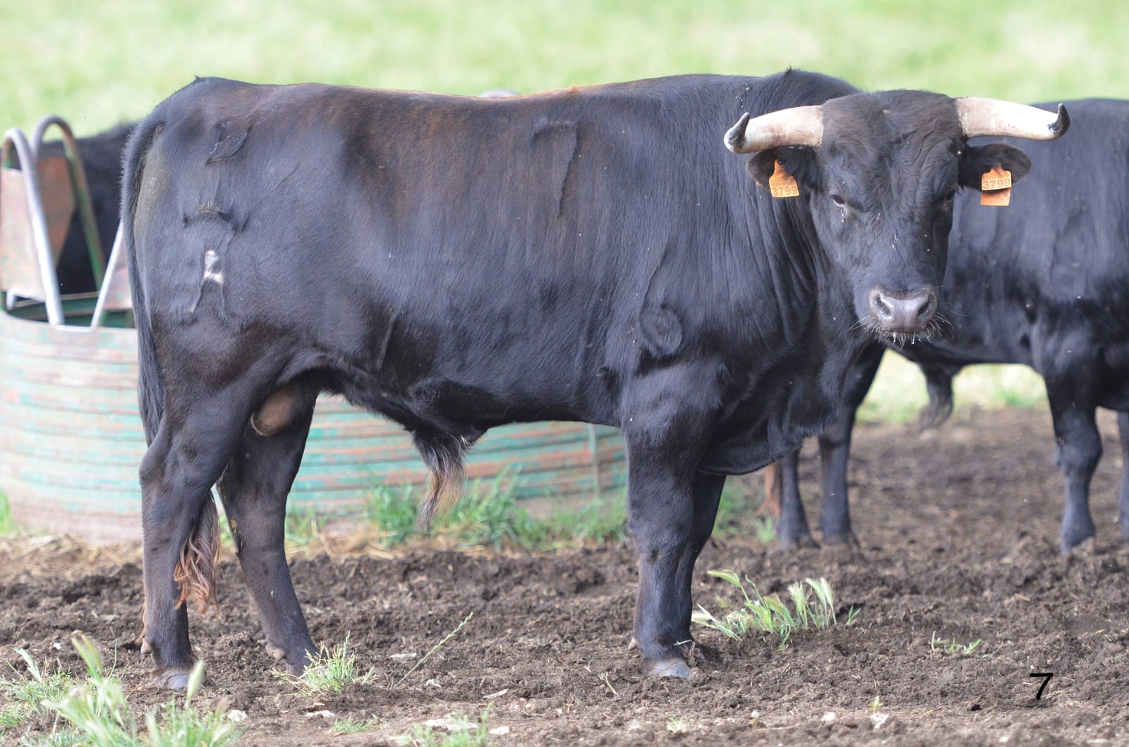 Villaseca de la Sagra (Toledo)